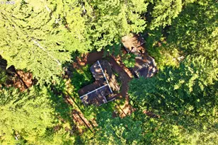 248 Jennings Rd, Trout Lake, WA 98650 - Photo 40