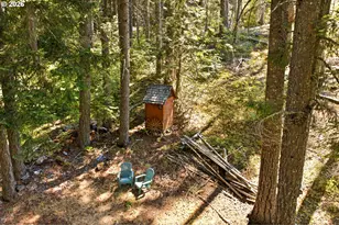 248 Jennings Rd, Trout Lake, WA 98650 - Photo 38