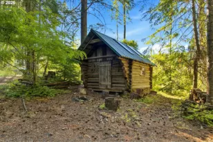 248 Jennings Rd, Trout Lake, WA 98650 - Photo 26