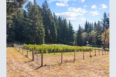 523 NE Squire Rd, Washougal, WA 98671 - Photo 46