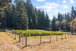 523 NE Squire Rd, Washougal, WA 98671 - Photo 46