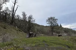 996 SE Eagles View Dr, Roseburg, OR 97470 - Photo 8