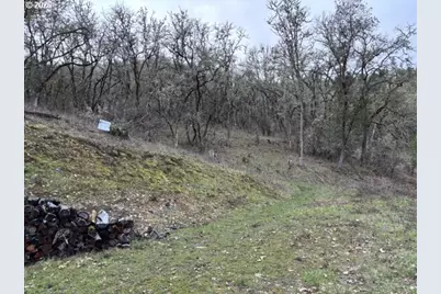 996 SE Eagles View Dr, Roseburg, OR 97470 - Photo 6