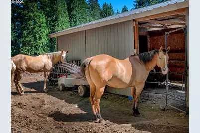 34281 Millard Rd, Warren, OR 97053 - Photo 38