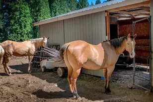 34281 Millard Rd, Warren, OR 97053 - Photo 38