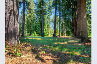 34281 Millard Rd, Warren, OR 97053 - Photo 40