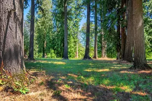 34281 Millard Rd, Warren, OR 97053 - Photo 40