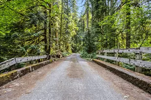 76619 E Rd 30C, Rhododendron, OR 97049 - Photo 36