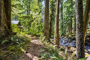76619 E Rd 30C, Rhododendron, OR 97049 - Photo 4