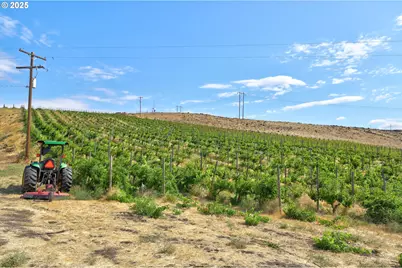Dalles Mt Rd, Dallesport, WA 98617 - Photo 1