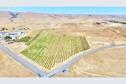 Dalles Mt Rd, Dallesport, WA 98617 - Photo 28