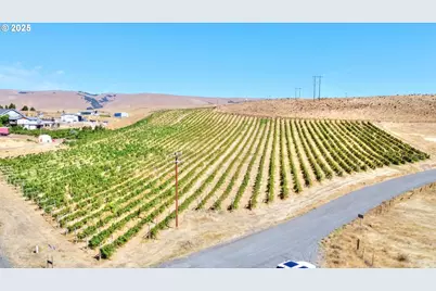 Dalles Mt Rd, Dallesport, WA 98617 - Photo 30