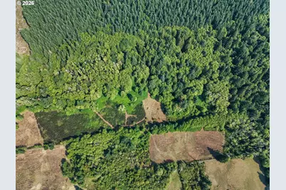 104 Bills Ln, Onalaska, WA 98570 - Photo 26