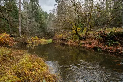 9740 Upper Olalla Rd, Winston, OR 97496 - Photo 24