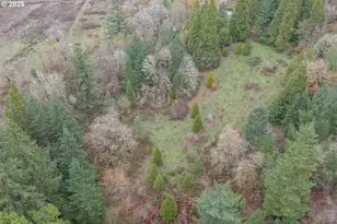 9740 Upper Olalla Rd, Winston, OR 97496 - Photo 38