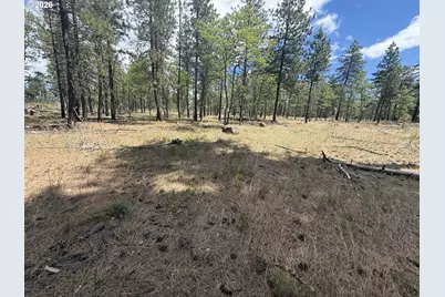 Old Stage Rd, Goldendale, WA 98620 - Photo 4