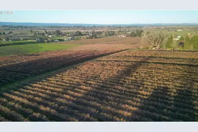 44641 SW Plumlee Rd, Forest Grove, OR 97116 - Photo 2