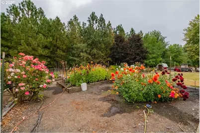 1087 38th Ave, Sweet Home, OR 97386 - Photo 28