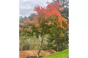 95725 Onyx St, Gold Beach, OR 97444 - Photo 20