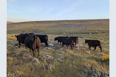 905 Randall Rd #Lot 1, Centerville, WA 98613 - Photo 14