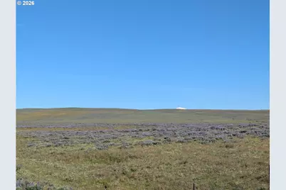 905 Randall Rd #Lot 1, Centerville, WA 98613 - Photo 10