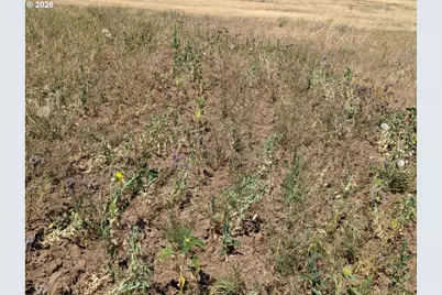 905 Randall Rd #Lot 1, Centerville, WA 98613 - Photo 8