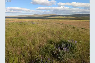 905 Randall Rd #Lot 1, Centerville, WA 98613 - Photo 12