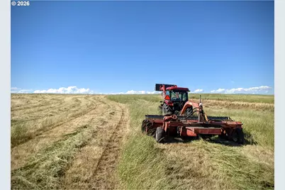 905 Randall Rd #Lot 1, Centerville, WA 98613 - Photo 4