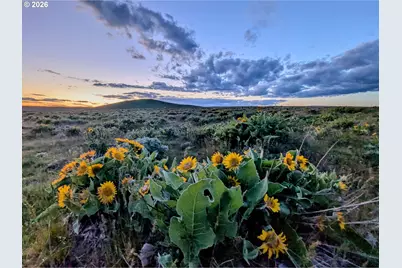 905 Randall Rd #Lot 1, Centerville, WA 98613 - Photo 6