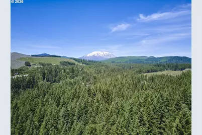 502 Loowit Ln, Cougar, WA 98616 - Photo 46