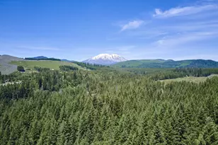 502 Loowit Ln, Cougar, WA 98616 - Photo 46