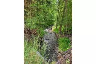 61608 Wallowa Mountian Loop, Joseph, OR 97846 - Photo 12