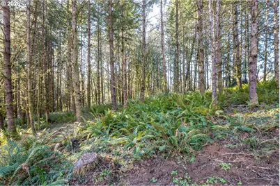 0 Bunker Hill Rd #A, Longview, WA 98632 - Photo 6