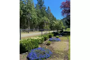 1121 Yeust Rd, Azalea, OR 97410 - Photo 38