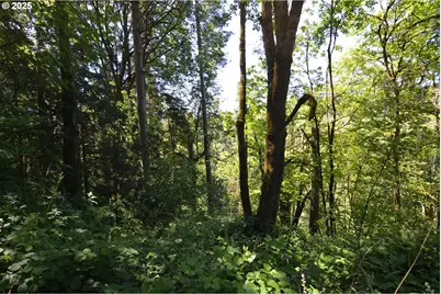 2429 Archwood Dr, Longview, WA 98632 - Photo 4