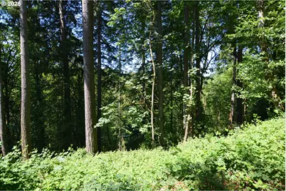 2429 Archwood Dr, Longview, WA 98632 - Photo 12