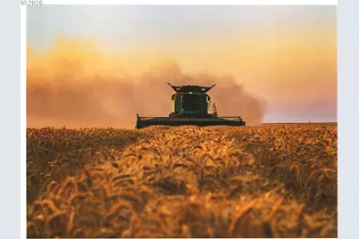 South Juniper Canyon, Helix, OR 97835 - Photo 1