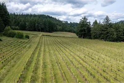 391 Newell Rd, Underwood, WA 98651 - Photo 8