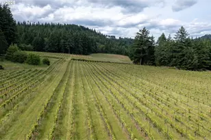 391 Newell Rd, Underwood, WA 98651 - Photo 8