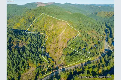 20191 Highway 42, Myrtle Point, OR 97458 - Photo 2