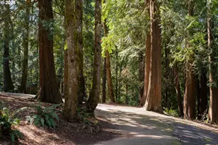 17720 Tupper Rd, Sandy, OR 97055 - Photo 20