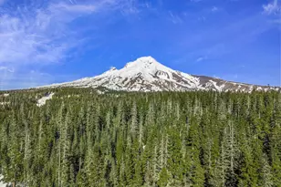 52135 E Terra Fern Dr, Sandy, OR 97055 - Photo 46