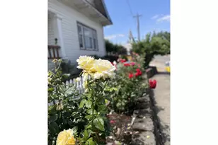 385 SE Township Rd, Canby, OR 97013 - Photo 2