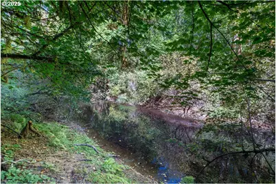 35349 Blitz Ln, Blodgett, OR 97326 - Photo 38