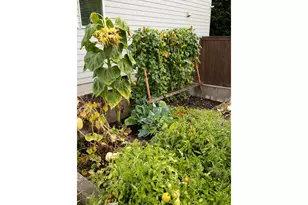 15316 SE Hawthorne Mdws St, Portland, OR 97236 - Photo 42