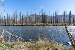 52633 McKenzie Hwy, Blue River, OR 97413 - Photo 4