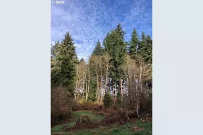 17719 NE Manning Cir, Amboy, WA 98601 - Photo 28