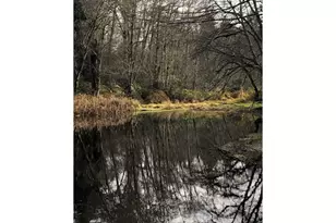 17719 NE Manning Cir, Amboy, WA 98601 - Photo 6