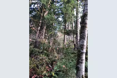 17719 NE Manning Cir, Amboy, WA 98601 - Photo 32