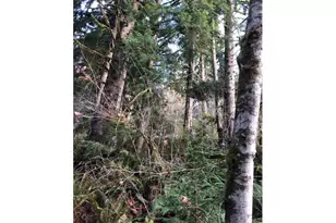 17719 NE Manning Cir, Amboy, WA 98601 - Photo 32